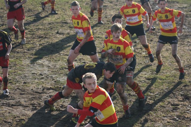 Tout 2012