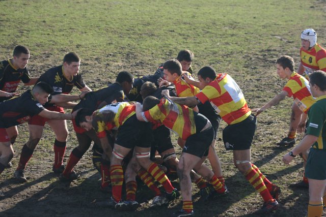 Tout 2012