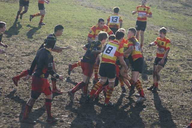 Tout 2012