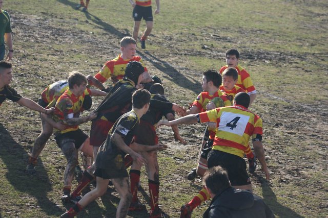 Tout 2012