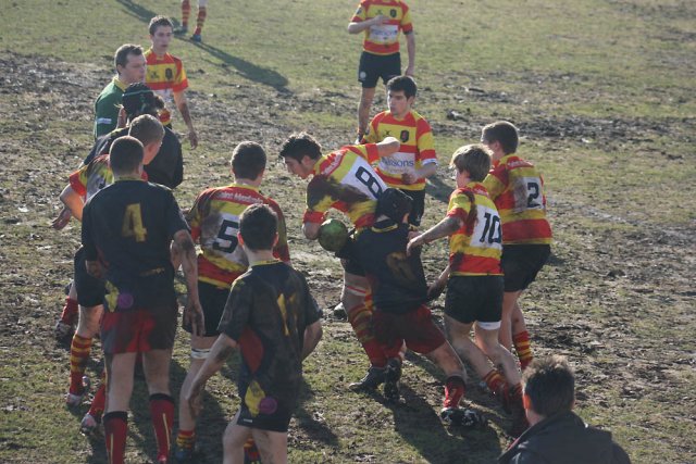 Tout 2012
