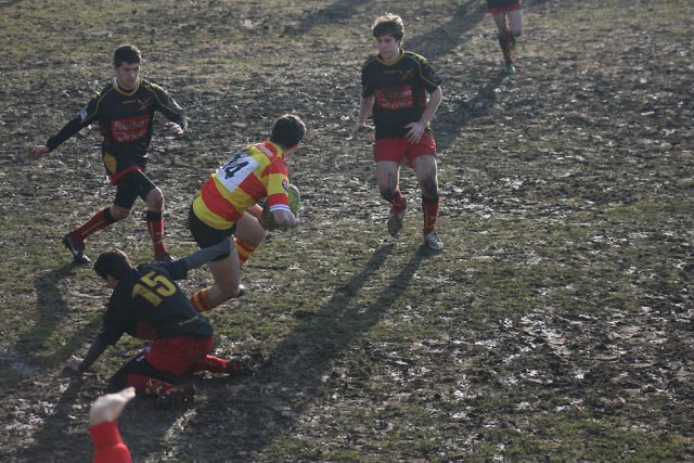 Tout 2012