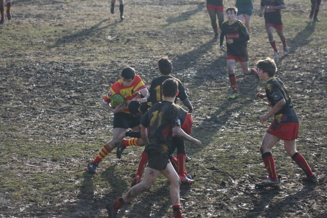 Tout 2012